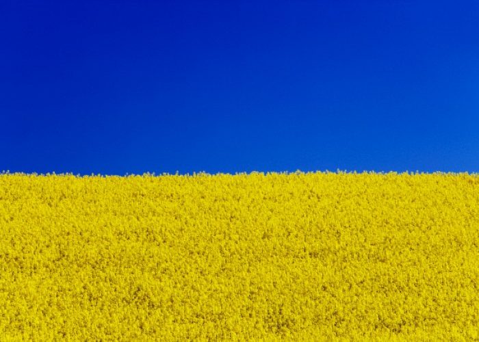 ПРОЕКТ «ЗЕМЕЛЬНА РЕФОРМА В УКРАЇНІ: НОВІ ПЕРСПЕКТИВИ ТА ВИКЛИКИ ДЛЯ СТАЛОГО РОЗВИТКУ АГРАРНОГО СЕКТОРУ ТА СІЛЬСЬКОЇ МІСЦЕВОСТІ»